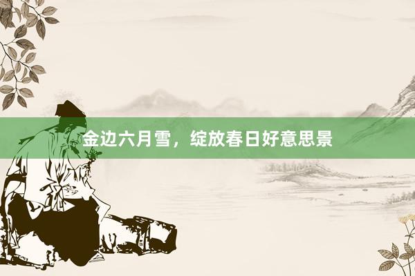 金边六月雪，绽放春日好意思景
