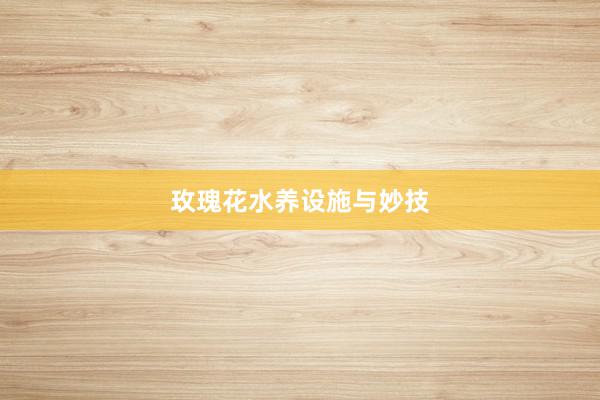 玫瑰花水养设施与妙技