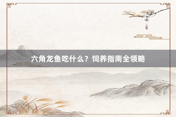 六角龙鱼吃什么？饲养指南全领略